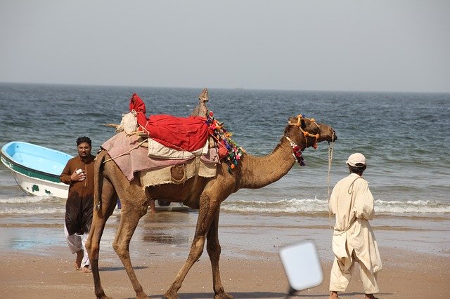 تنزيل Gadani Balochistan Pakistan مجانًا - صورة مجانية أو صورة لتحريرها باستخدام محرر الصور عبر الإنترنت GIMP