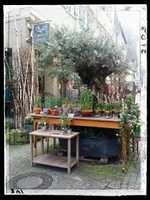 Free download gaertnerei_greiner_schorndorf free photo or picture to be edited with GIMP online image editor