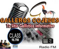 Free download GALLOS COJEDES RADIO free photo or picture to be edited with GIMP online image editor
