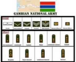 Free download Gambian National Army Rank Insignia free photo or picture to be edited with GIMP online image editor