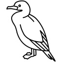 Gannets on the Cliffside  screen for extension Chrome web store in OffiDocs Chromium