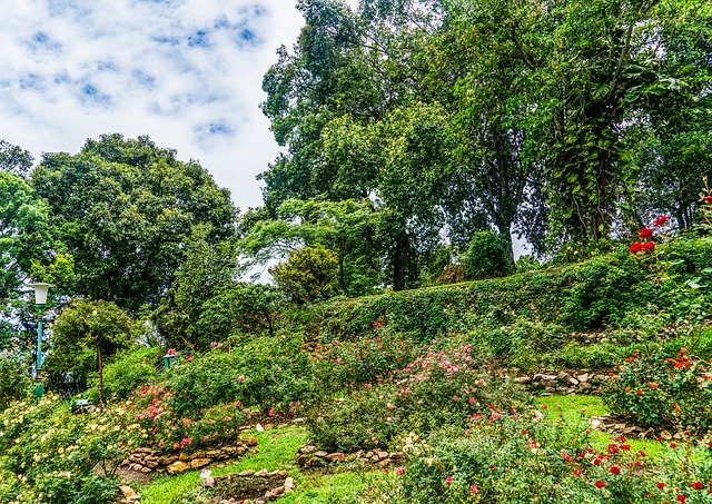 Bezpłatne pobieranie Garden Beautiful Landscape Hill - bezpłatne zdjęcie lub obraz do edycji za pomocą internetowego edytora obrazów GIMP