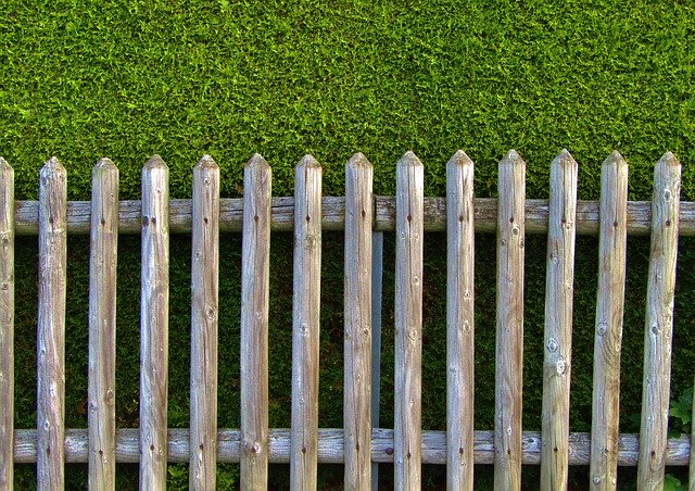 Free picture Garden Fence Wood Battens Thuya -  to be edited by GIMP free image editor by OffiDocs