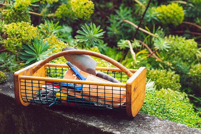Free download Garden Gardening Tools -  free photo or picture to be edited with GIMP online image editor