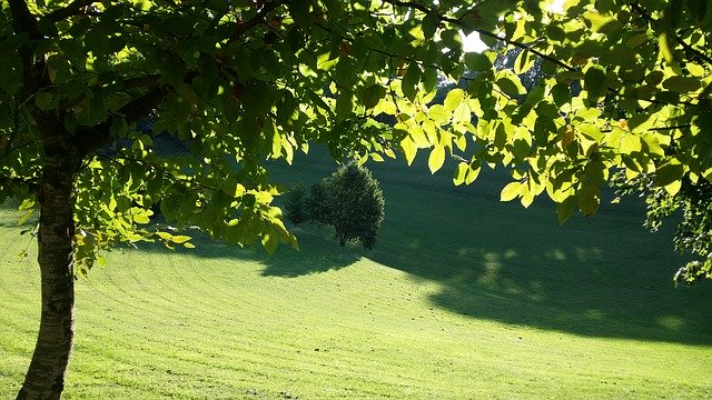 تنزيل Garden Green مجانًا - صورة مجانية أو صورة لتحريرها باستخدام محرر الصور عبر الإنترنت GIMP