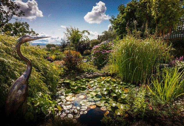 Muat turun percuma Garden Home Plant - foto atau gambar percuma untuk diedit dengan editor imej dalam talian GIMP