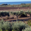 Garden near the sea  screen for extension Chrome web store in OffiDocs Chromium