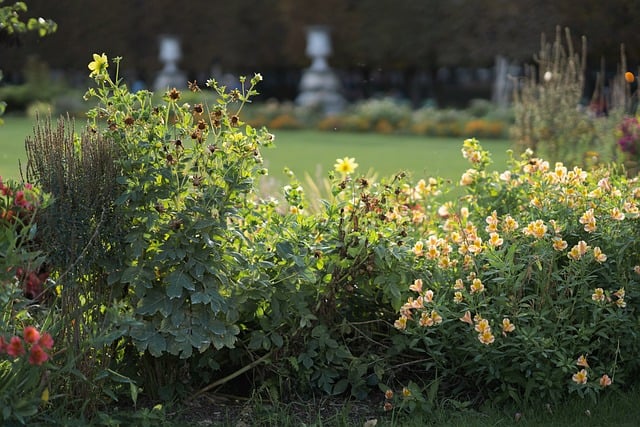 Free download garden park flower plants bush free picture to be edited with GIMP free online image editor
