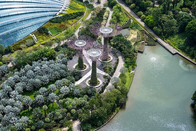 Unduh gratis Gardens By The Bay Singapore - foto atau gambar gratis untuk diedit dengan editor gambar online GIMP