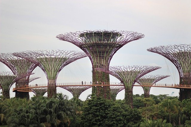 Gratis download Garden Singapore By The Bay - gratis foto of afbeelding om te bewerken met GIMP online afbeeldingseditor