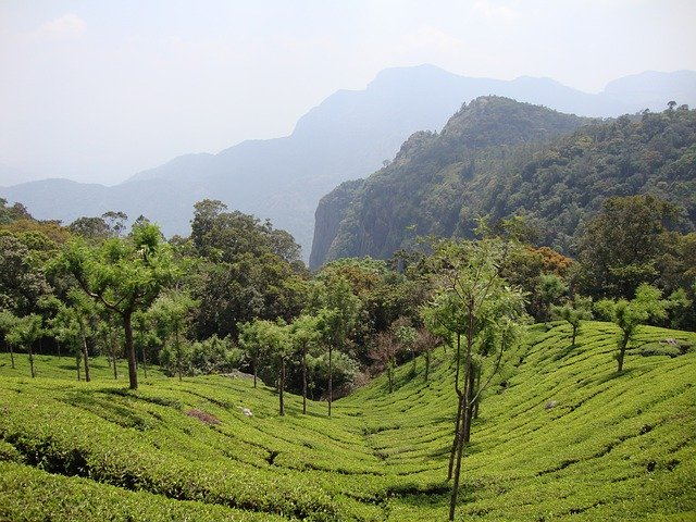 ດາວ​ໂຫຼດ​ຟຣີ Garden Sky Park - ຮູບ​ພາບ​ຟຣີ​ຫຼື​ຮູບ​ພາບ​ທີ່​ຈະ​ໄດ້​ຮັບ​ການ​ແກ້​ໄຂ​ກັບ GIMP ອອນ​ໄລ​ນ​໌​ບັນ​ນາ​ທິ​ການ​ຮູບ​ພາບ​