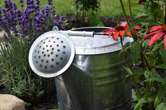 Bezpłatne pobieranie Garden Watering Can - darmowe zdjęcie lub obraz do edycji za pomocą internetowego edytora obrazów GIMP