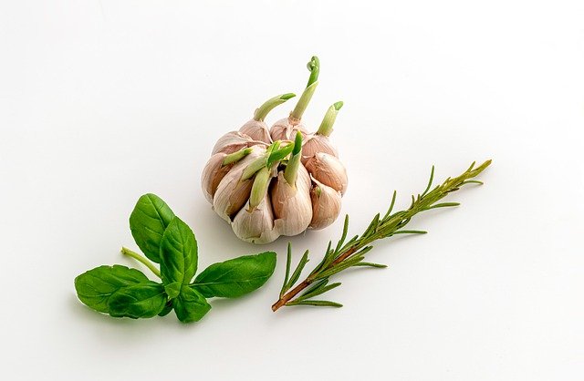 Free download garlic basil herbs vitamins free picture to be edited with GIMP free online image editor