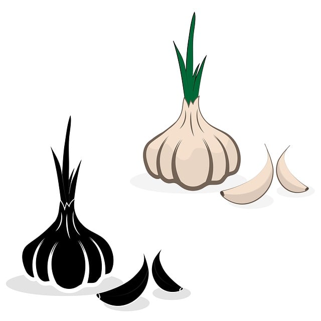 Free download garlic food vegetable agriculture free picture to be edited with GIMP free online image editor