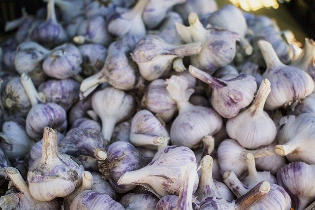 Free download garlic healthy health produce free picture to be edited with GIMP free online image editor