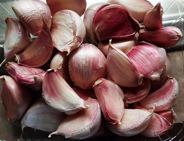 Free download Garlic Vegetables Fresh -  free photo or picture to be edited with GIMP online image editor