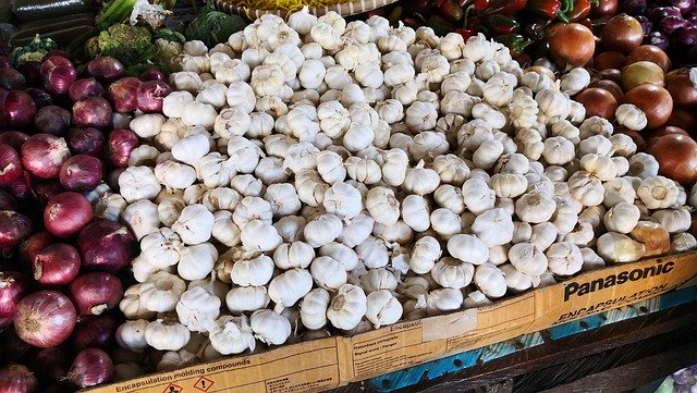 Free picture Garlic Vegetables Organic -  to be edited by GIMP free image editor by OffiDocs