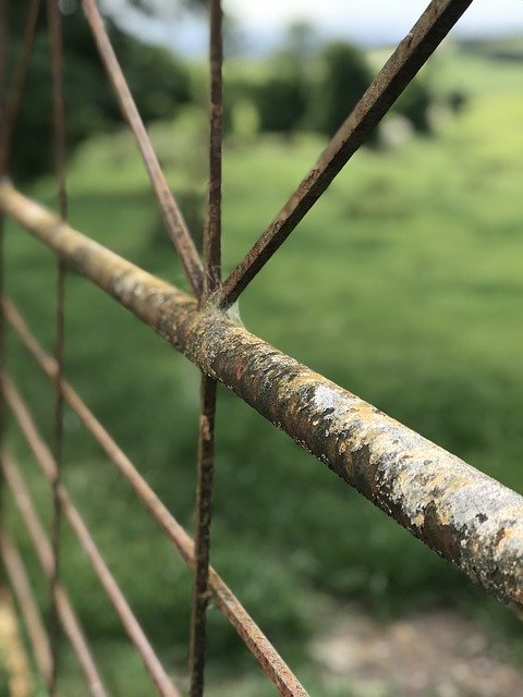 دانلود رایگان Gate Fence Pasture - عکس یا تصویر رایگان قابل ویرایش با ویرایشگر تصویر آنلاین GIMP