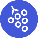 Gather Meetings  screen for extension Chrome web store in OffiDocs Chromium