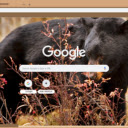 Gau den  screen for extension Chrome web store in OffiDocs Chromium