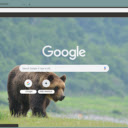 Gau hoang  screen for extension Chrome web store in OffiDocs Chromium