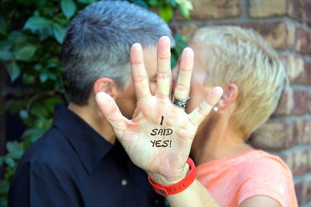 Free download Gay Wedding Proposal -  free photo or picture to be edited with GIMP online image editor