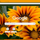 Gazania  screen for extension Chrome web store in OffiDocs Chromium