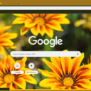 Gazania Rigens  screen for extension Chrome web store in OffiDocs Chromium