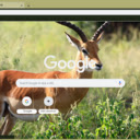 Gazelle  screen for extension Chrome web store in OffiDocs Chromium