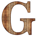 G Chrome  screen for extension Chrome web store in OffiDocs Chromium