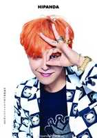 Free download G Dragon Hipanda ( 1) free photo or picture to be edited with GIMP online image editor