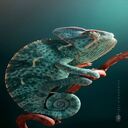 gecko wallpaper  screen for extension Chrome web store in OffiDocs Chromium