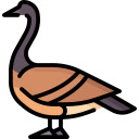 Geese by the Stream  screen for extension Chrome web store in OffiDocs Chromium