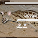 Genet  screen for extension Chrome web store in OffiDocs Chromium