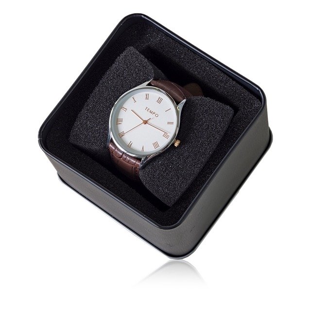 Free download Gents Tempo Quartz Dress Watch -  free photo or picture to be edited with GIMP online image editor