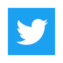 Get back Twitter icon  screen for extension Chrome web store in OffiDocs Chromium