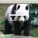 Giant Panda  screen for extension Chrome web store in OffiDocs Chromium