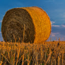 Giant straw roll  screen for extension Chrome web store in OffiDocs Chromium