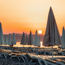 Giant umbrella forest  screen for extension Chrome web store in OffiDocs Chromium