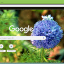 Gilia  screen for extension Chrome web store in OffiDocs Chromium