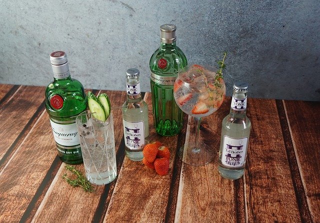 הורדה חינם Gin And Tonic Cocktail Summer - תמונה או תמונה בחינם לעריכה עם עורך התמונות המקוון GIMP