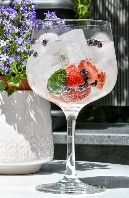Gratis download Gin Cocktail Bar - gratis foto of afbeelding om te bewerken met GIMP online afbeeldingseditor