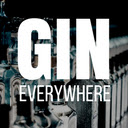 Gin Everywhere  screen for extension Chrome web store in OffiDocs Chromium