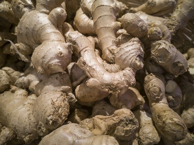 Free download Ginger Sunday Macro -  free photo or picture to be edited with GIMP online image editor