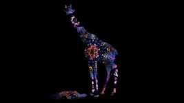 Free download Giraffe Animal Pattern -  free video to be edited with OpenShot online video editor