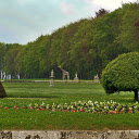 Giraffe in the park  screen for extension Chrome web store in OffiDocs Chromium