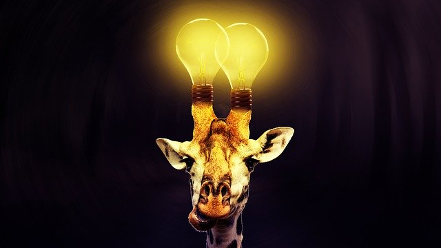 Download grátis Giraffe Light Bulb - foto ou imagem gratuita para ser editada com o editor de imagens online GIMP