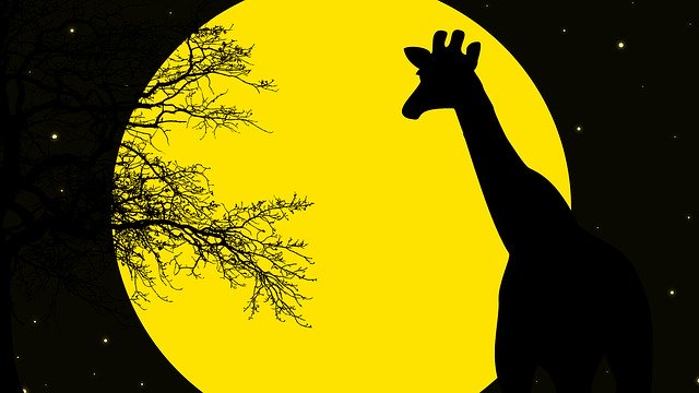 Unduh gratis Giraffe Night Wilderness - ilustrasi gratis untuk diedit dengan editor gambar online gratis GIMP