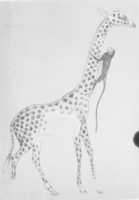 Free download Giraffe with a Monkey, Tomb of Rekhmire free photo or picture to be edited with GIMP online image editor