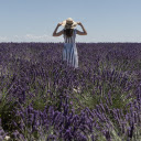 Girl and flower field  screen for extension Chrome web store in OffiDocs Chromium